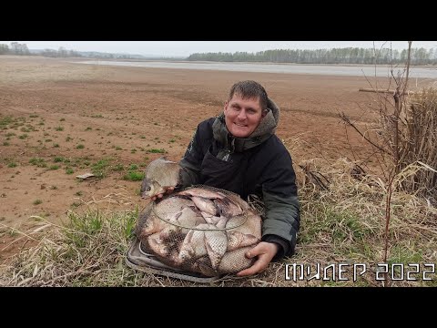 Видео: Весенняя ловля на фидер на реке Кама | ЕЛОВО 2022