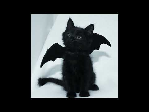 Видео: Вампир - Scally Milano & Uglystephan (sped up, speed up, nightcore)