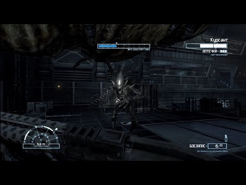 Видео: Aliens vs Predator 2010 || Максимальная сложность || Десантник 5/6 (Прохождение без комментариев)