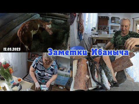 Видео: Пополнение - а кто у нас? Открыл купальный сезон