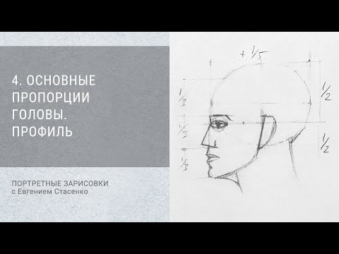 Видео: 4. Основные пропорции головы. Профиль / Портретные зарисовки