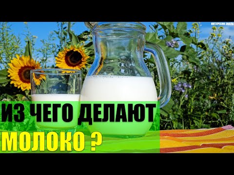 Видео: Из чего делают современное молоко?