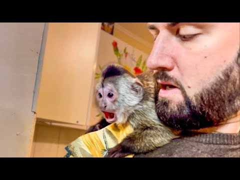 Видео: Финик ПРОСТО В ШОКЕ от «новых» соседей!))