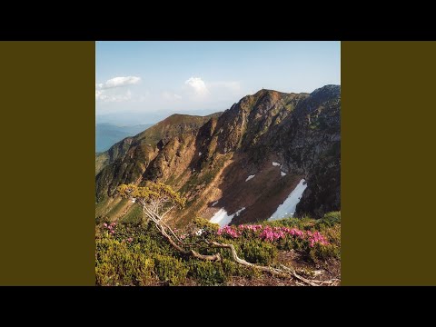 Видео: Завтра