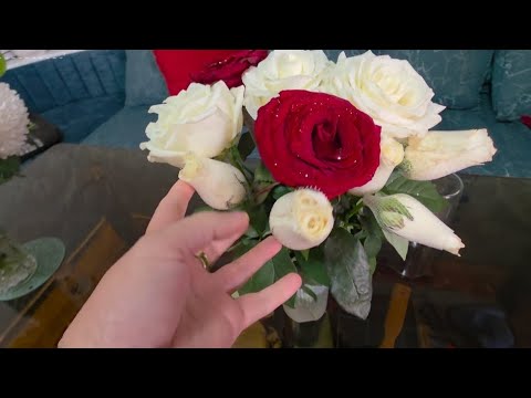 Видео: ХРИЗАНТЕМАЛАР ВА АТИРГУЛ ХАКИДА🌺🌺🪷🪷🌹🌹🍁🍁🍁