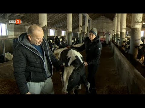 Видео: Три живи истории от българската реалност, Бразди – 04.03.2023