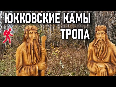 Видео: Тропа Юкковские камы