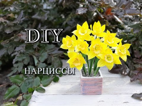 Видео: Нарциссы из фоамирана/DIY/Anna Shusta