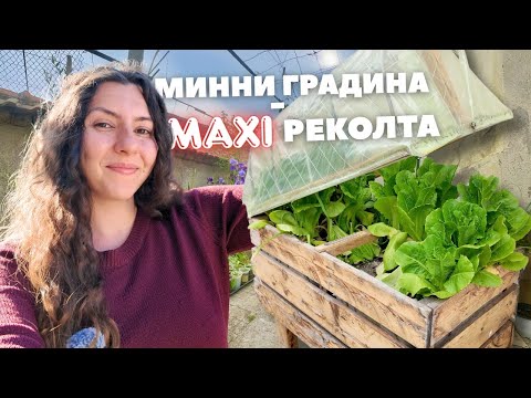 Видео: Как отглеждаме храна в малко пространство | Живот в къща и градина