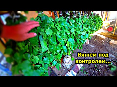 Видео: Заготавливаем вяжем продаём березовый веник. Новые стилажи Заработать в деревне ни смотря ни на что.