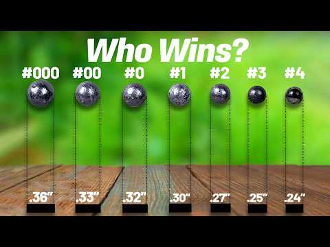 Видео: Топ-5 лучших патронов для дробовика для самообороны