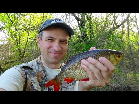 Видео: Як і де ловити рибу весною Секрети ловлі на поплавок
