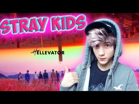 Видео: Stray Kids "Hellevator" M/V Реакция | jypentertainment (K-pop группа Stray Kids)