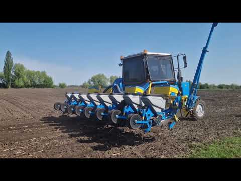 Видео: Сієм все і зразу.Робота кипить сієм в 5 тракторів👍👍👍