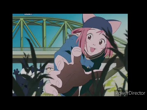 Видео: (AMV) Аниме клип - Мой Котик😻.