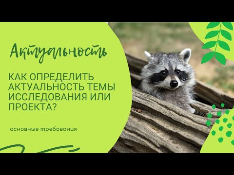 Видео: 3. Что такое актуальность  и как это формулировать?