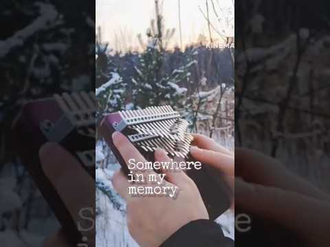 Видео: Somewhere in my memory | Home alone | Один дома #калимба #kalimba #homealone #somewhereinmymemory