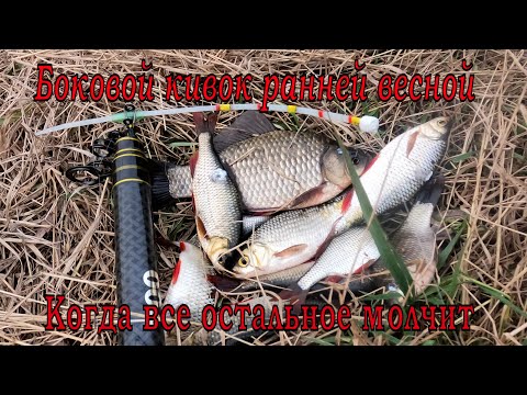 Видео: Боковой кивок ранней весной