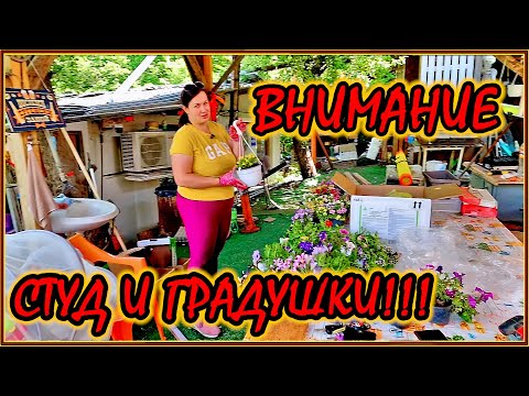 Видео: ЖИВОТ на СЕЛО: Как да ПРЕДПАЗИМ градината си от дъждовете и ниските температури?