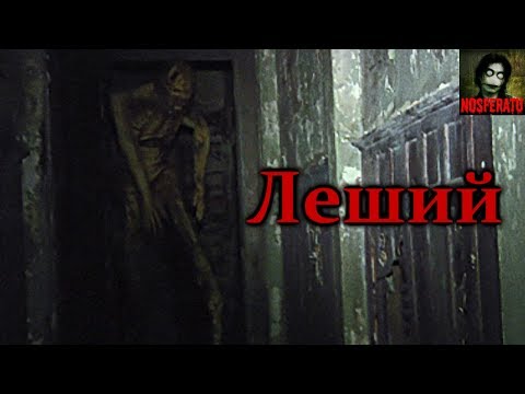 Видео: Истории на ночь - Леший