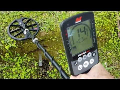 Видео: MINELAB EQUINOX 800 - ОБЗОР МОИХ НАСТРОЕК! ОТВЕТЫ НА ЧАСТО ЗАДАВАЕМЫЕ ВОПРОСЫ!