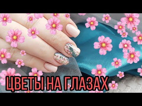 Видео: Клешенный трамплин/Цветы на кошкиных глазах/