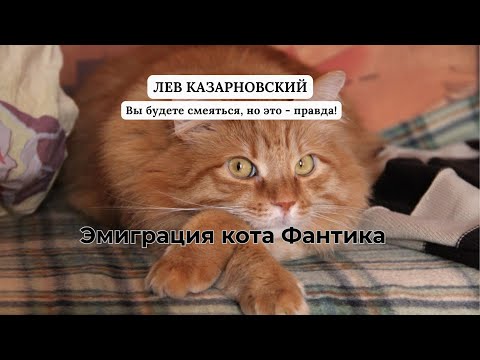 Видео: ЭМИГРАЦИЯ КОТА ФАНТИКА (Вы будете смеяться, но это - правда)