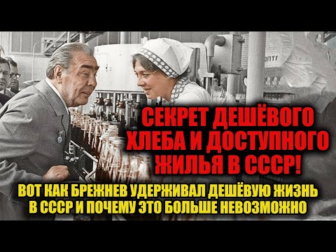 Видео: Как СССР держал низкие цены и обманул реальность! Главная тайна эпохи Брежнева.