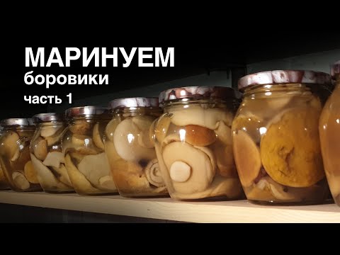 Видео: Маринуем боровики.  Часть 1