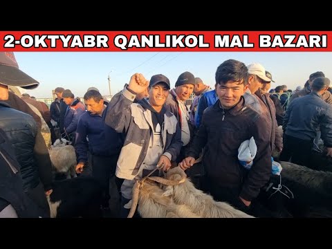 Видео: 2-ОКТЯБРЬ/КАНЛЫКОЛ МАЛ БАЗАРЫ/СКОТНЫЙ РЫНОК/BUQALAR/BIG BULLS IN THE WORLD/BIG COW