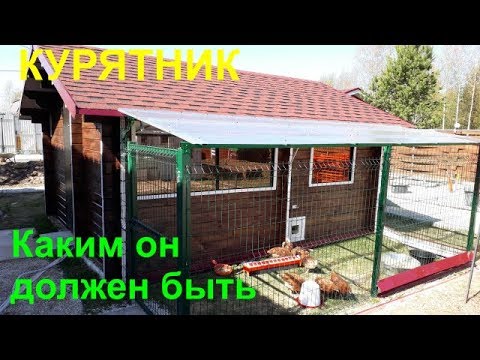 Видео: Курятник. Каким он должен быть. Теплый и светлый.