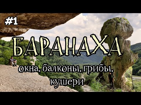 Видео: Хутор Ильич/окна,балконы и как выжить в зарослях