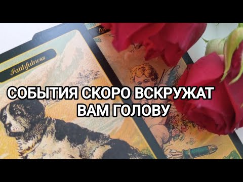 Видео: КАКИЕ СОБЫТИЯ СКОРО ВСКРУЖАТ ВАМ ГОЛОВУ ✨💖🌹