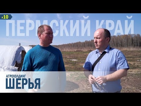 Видео: 20 000 тонн «Пермский» сенаж в упаковке!!!