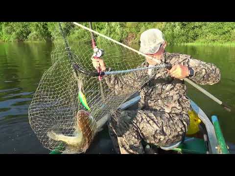 Видео: Ока Белоомут.Троллинг.Июнь 2021