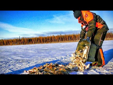 Видео: ЗДЕСЬ РЫБЫ БОЛЬШЕ ЧЕМ ВОДЫ!!! ПЕРВЫЙ ЛЁД 2025-2026г.