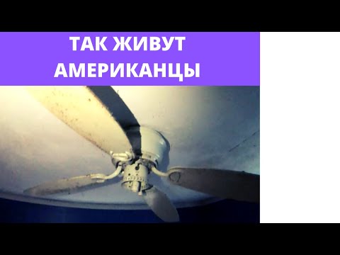 Видео: ТАК ЖИВУТ АМЕРИКАНЦЫ /УЖАС/ ВАМ ТАКОЕ ПО ТЕЛЕВИЗОРУ НЕ ПОКАЖУТ