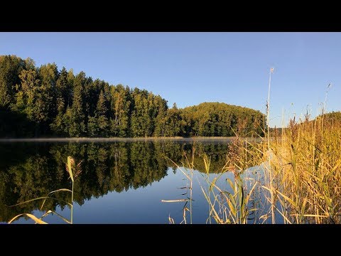 Видео: Селигер | Место моего покоя