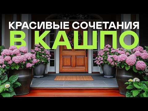 Видео: За 17 Минут Сад Превратится В Рай! (если правильно подобрать растения в кашпо)
