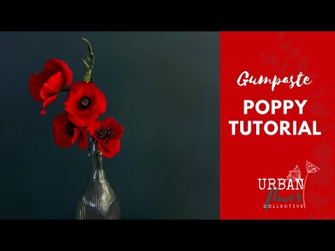 Видео: Как сделать масти / цветочную массу / сахарный мак — пошаговое руководство