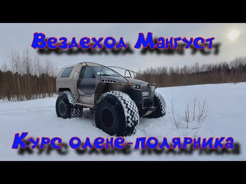 Видео: Вездеход Мангуст. Курс олене-полярника.