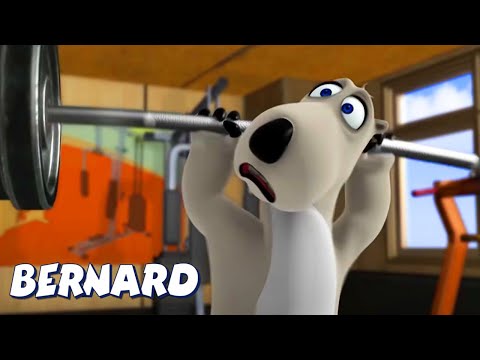 Видео: Бернар Медведь | Тяжелая атлетика и многое другое | Мультфильмы для детей | Полные эпизоды