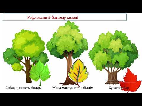 Видео: Жаратылыстану 2-сынып 3-сабақ  Өсімдіктердің тіршілігіндегі маусымдық өзгерістер