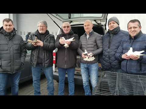Видео: Германия,  ярмарка голубей г.Weilburg,26.01.25.часть 2