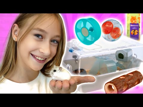 Видео: ЗАВЕЛА ХОМЯКАЯ Пикси/ Обустраиваем клетку дюна, распаковка покупок
