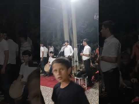 Видео: Мехриддин писари Зиёвиддин 29 июля 2025 г.