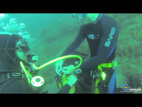 Видео: Упражнение в дайвинге.