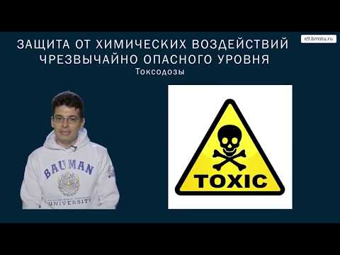 Видео: Введение в учебный курс БЖД  Часть 2.