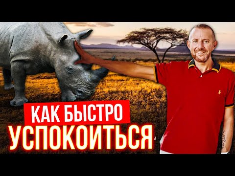 Видео: Как быстро успокоиться и не паниковать. Лайфхак матёрого переговорщика