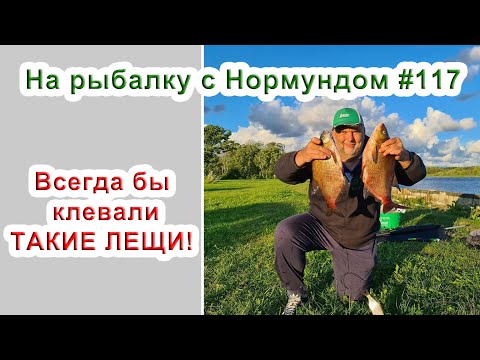 Видео: Всегда бы клевали ТАКИЕ ЛЕЩИ! / На рыбалку с Нормундом #117